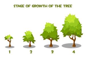 illustrazione vettoriale delle fasi di crescita dell'albero dei cartoni animati. alberi verdi isolati in corso di crescita.