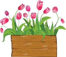 illustrazione vettoriale di fiori di tulipani. sfondo, motivo, stampa per carta da imballaggio, cartoline, tessuti. tulipani rosa colorati con foglie. modello di progettazione biglietto di auguri.
