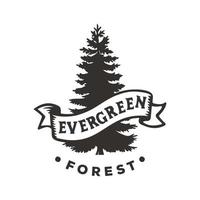 disegno dell'illustrazione vintage del logo sempreverde, logo degli alberi di pino vettore
