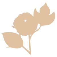 logo della pianta di cotone. erba nuziale disegnata a mano con foglie eleganti. vettore