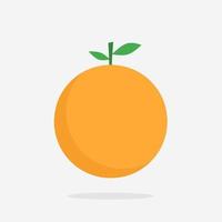 illustrazione vettoriale piatta di frutta fresca arancione