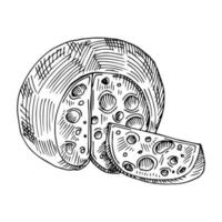 illustrazione vettoriale disegnato a mano di formaggio.