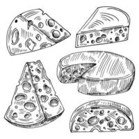 insieme di vettore del formaggio isolato su priorità bassa bianca. illustrazione vettoriale del tratto di formaggio disegnato a mano. schizzo di formaggio.