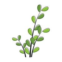 foglie fiore icona clip art contorno con colore verde vettore illustrazione animata design immagine