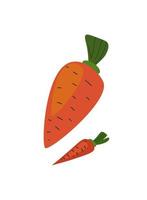 illustrazione piatta del vettore di carota isolato su sfondo bianco