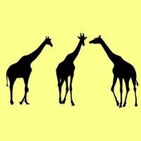 forme di sagome di giraffe su sfondo bianco illustrazioni vettoriali isolate su sfondo giallo