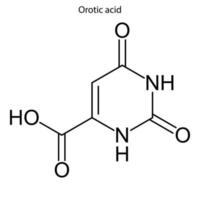 formula scheletrica della molecola. vettore