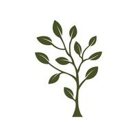 logo botanica con il concetto di natura, foglie, classici e stile moderno vettore