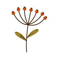 pianta con bacche rosse, foglie verdi. infiorescenza a ombrello con frutti di giardino freschi. clipart botanico disegnato a mano isolato su bianco. mazzetto di icone vettoriali di bacche autunnali. stile cartone animato piatto