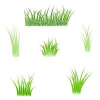 acquerello di erba, erba verde vettore