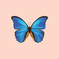 bella illustrazione della farfalla blu vettore