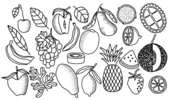 insieme di vettore di doodle di frutta fresca. illustrazione vettoriale