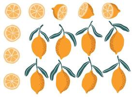 stampa di limoni freschi. illustrazione di limone linea disegnata a mano. vettore