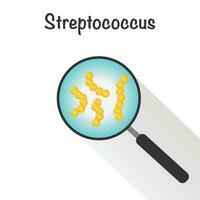 streptococco nella lente d'ingrandimento vettore