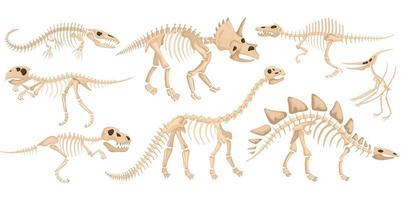 set di icone di scheletro di dinosauro vettore