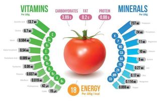 diagramma di infografica sui nutrienti del pomodoro