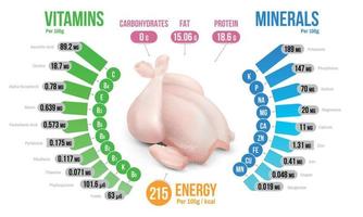 diagramma di infografica nutrienti di pollo vettore
