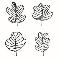 foglie decorative dipinte a mano. rami di albero con foglie e fiori vettore