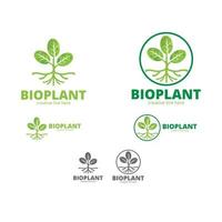 logo della pianta biologica vettore