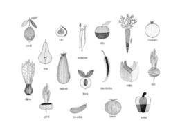 frutta e verdura in stile ornamento disegnato a mano limone, pera, fichi, funghi, mela, carota, melograno, cipolla, melanzana, pesca, peperoncino, finocchio, barbabietola, ravanello cetriolo pomodoro peperone vettore