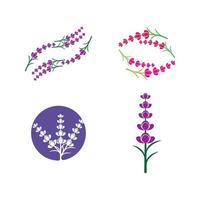 vettore di logo di fiori di lavanda fresca