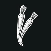 schizzo di illustrazione di carota. tecnica di disegno a mano. sfondo bianco e nero vettore