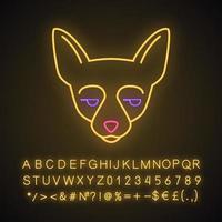 chihuahua simpatico personaggio di luce al neon kawaii. cane con il muso indifferente. animale con gli occhi che guardano di lato. emoji divertenti, emoticon. icona luminosa con alfabeto, numero, simboli. illustrazione vettoriale isolato