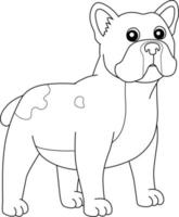 Pagina da colorare del cane bulldog francese isolata per i bambini vettore