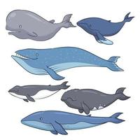 collezione di balene disegnate a mano 1 vettore