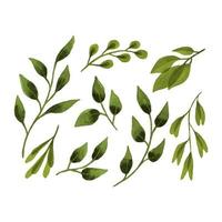 set foglia acquerello botanico, disegno a mano, foglie rami, elementi di design, isolato, sfondo bianco. vettore
