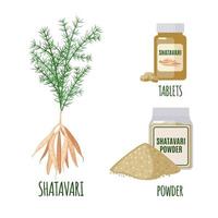 shatavari impostato con vantaggi in stile piatto isolato su sfondo bianco. asparagi racemosus o shatamull. pianta medicinale ayurvedica. shatavari polvere e compresse per la salute. illustrazione vettoriale