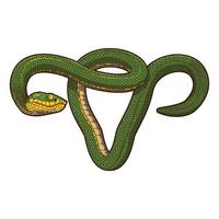 disegno di illustrazione vettoriale serpente verde