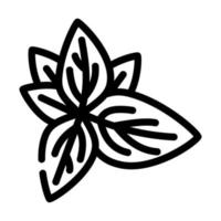 illustrazione vettoriale dell'icona della linea di foglie di basilico