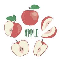 illustrazione disegnata a mano di mela rossa con scritte, isolata su sfondo bianco. mela intera e affettata. illustrazione vettoriale per il tuo design.