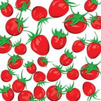 pomodori rossi con illustrazione di sfondo bianco vettore