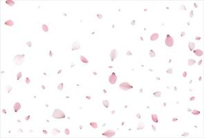 sfondo di petali di sakura. sfondo di petali di ciliegio