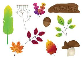 set di foglie di varietà natura con cartello in legno isolare su sfondo bianco. vettore