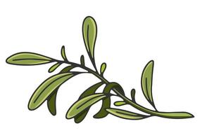 ramo d'ulivo con foglie. etichetta o logo dell'olio d'oliva per il negozio o il mercato di un agricoltore. emblema retrò di olio d'oliva biologico illustrazione vettoriale isolato su sfondo bianco.