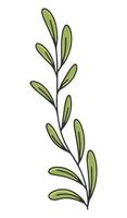 ramo d'ulivo con foglie. etichetta o logo dell'olio d'oliva per un negozio o un mercato degli agricoltori. emblema retrò di olio d'oliva biologico illustrazione vettoriale isolato su sfondo bianco.