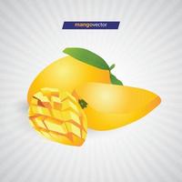 illustrazione vettoriale di mango