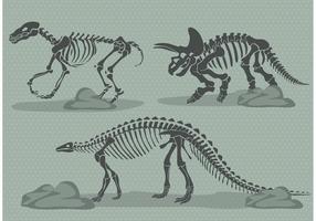 vettore di ossa di dinosauro