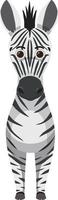 zebra carina in stile cartone animato piatto vettore