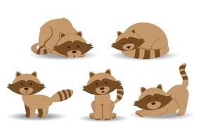 Racoon Cartoon Vectors