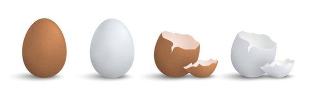 set di uova realistiche 3d elementi vettoriali eps10 isolati, uovo di gallina, modello di decorazione di uova incrinate
