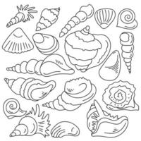 doodle set di conchiglie, delineare gli abitanti del mare e le loro conchiglie vettore