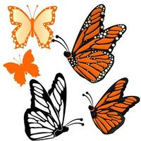 collezione di farfalle vettore
