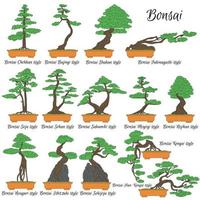 bonsai. diversi stili di alberi in miniatura. l'arte di coltivare piante nane. vettore