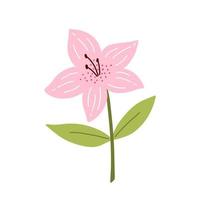 carino azalea fiore con foglie isolati su sfondo bianco. illustrazione vettoriale in stile piatto disegnato a mano. perfetto per biglietti, loghi, decorazioni, design primaverili ed estivi. clipart botaniche.