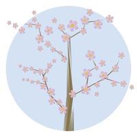 illustrazione del contorno di sakura. vettore