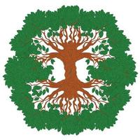 albero di yggdrasil. simbolo celtico degli antichi vichinghi. il simbolo degli antichi popoli del nord europa. la cosmologia nordica, è un albero sacro immenso e centrale. vettore